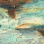 Controlling Wood Rot