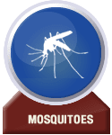 mosquitoes-pest-control