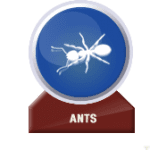 Pest-Icons-2