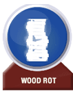 Treat Wood root Problems