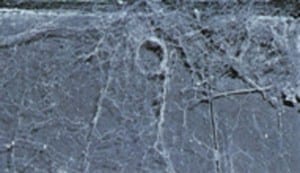 Black House or Widow Nest